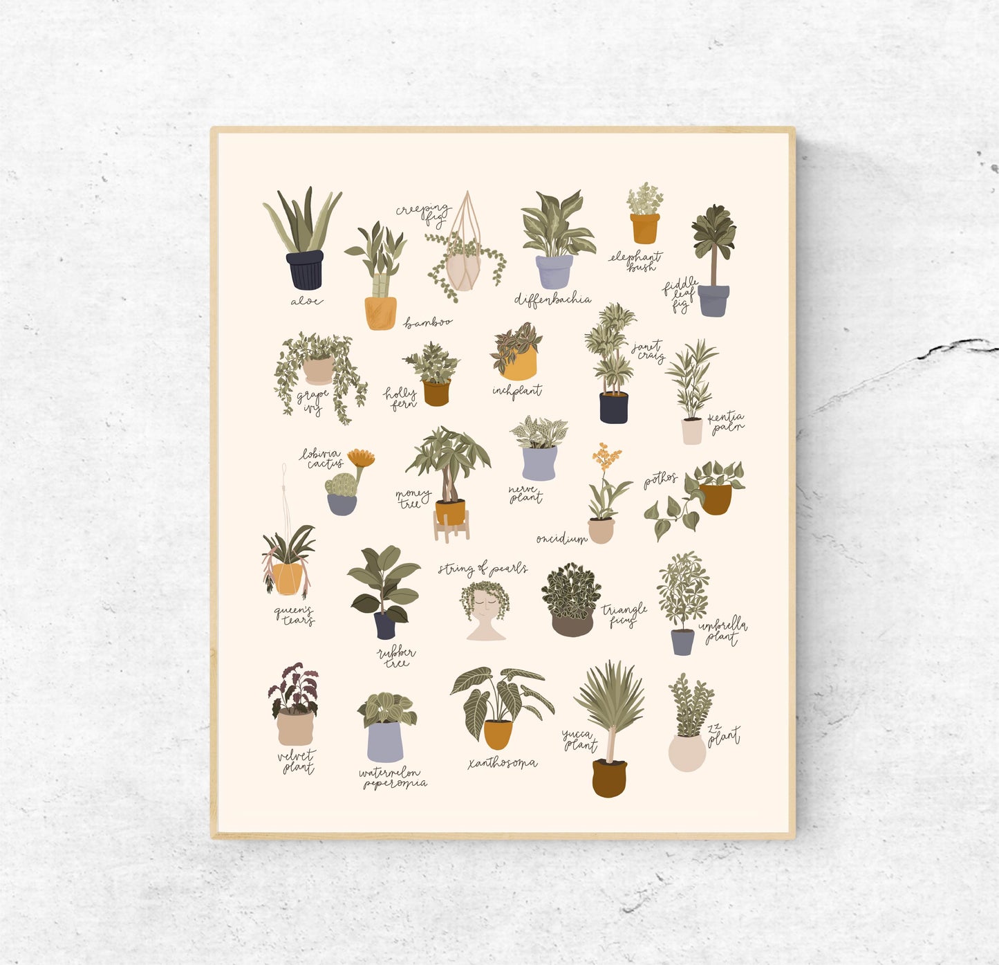 ABC of Houseplants | 8x10 Unframed