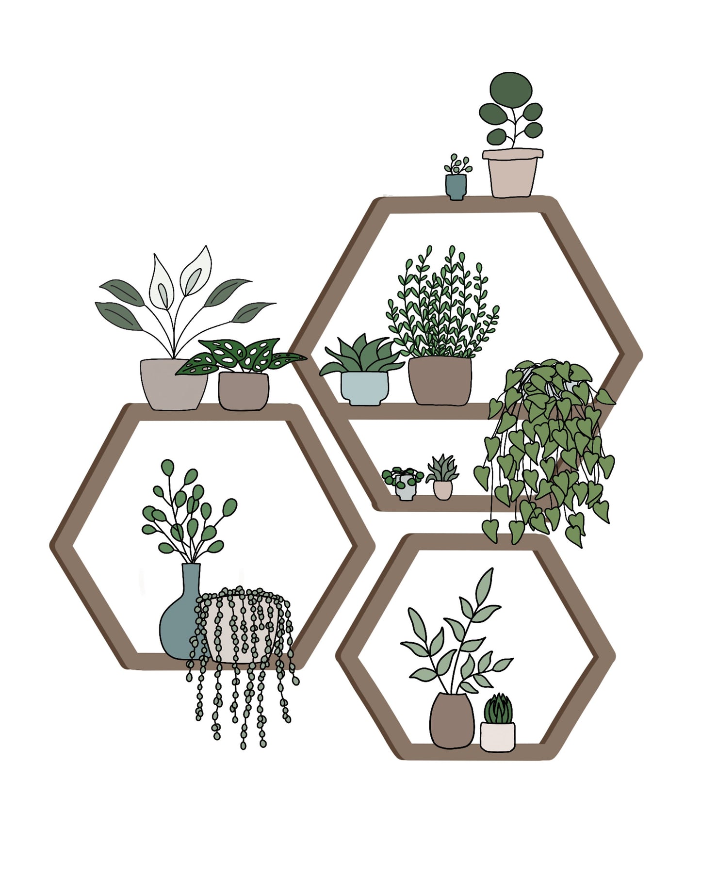 8x10 Plants on Wall - Unframed