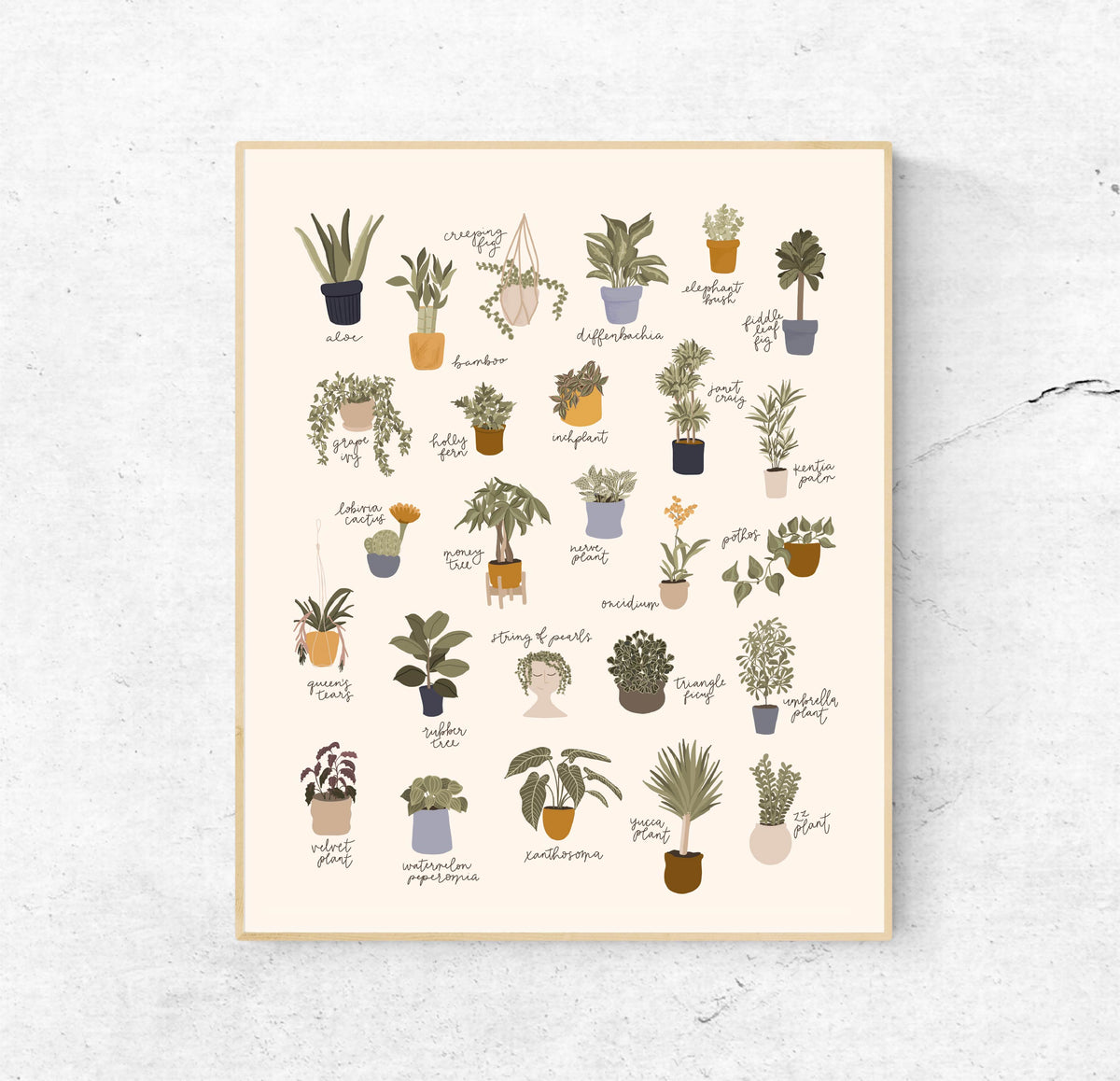 ABC of Houseplants (Multiple Size Options)