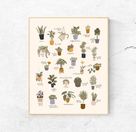 ABC of Houseplants (Multiple Size Options)
